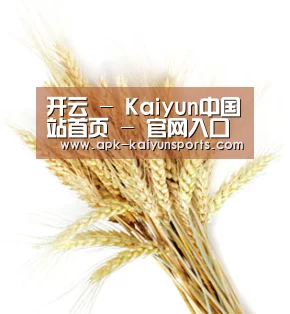 开云 - Kaiyun中国站首页 - 官网入口