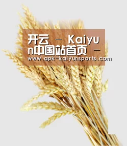 开云 - Kaiyun中国站首页 - 官网入口