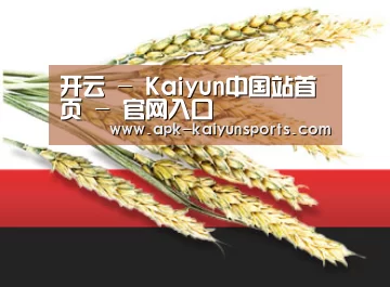 开云 - Kaiyun中国站首页 - 官网入口